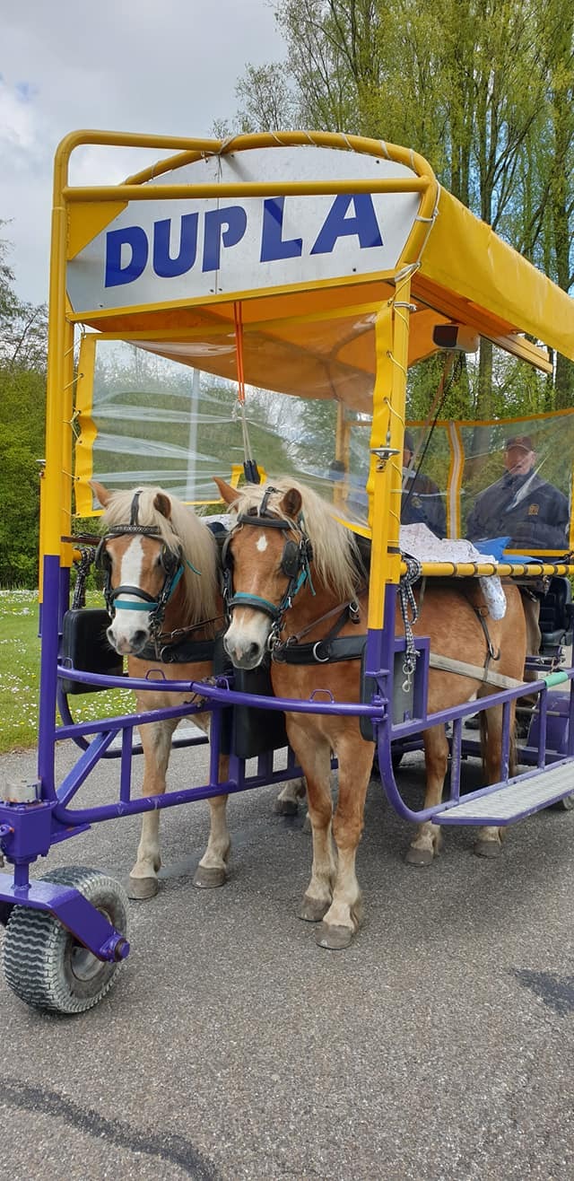 183111083_4010653405680937_1176592353687123151_n